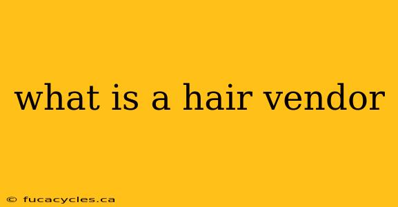 what is a hair vendor