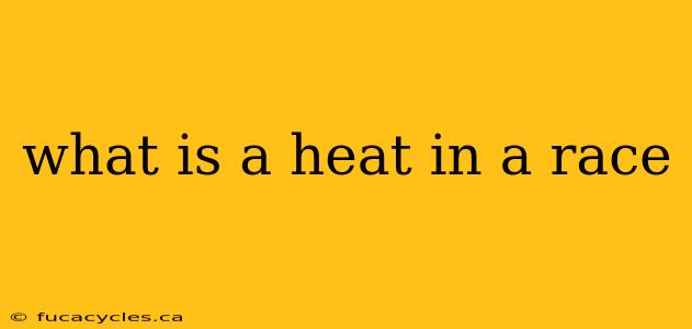 what is a heat in a race