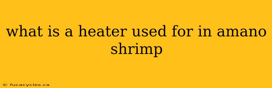 what is a heater used for in amano shrimp