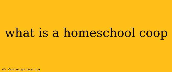 what is a homeschool coop