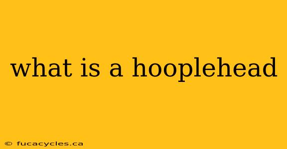 what is a hooplehead