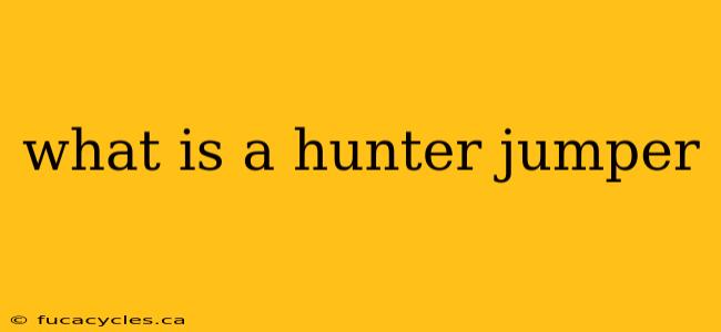 what is a hunter jumper