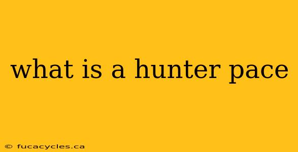 what is a hunter pace