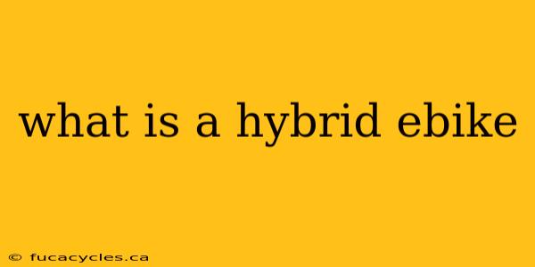 what is a hybrid ebike