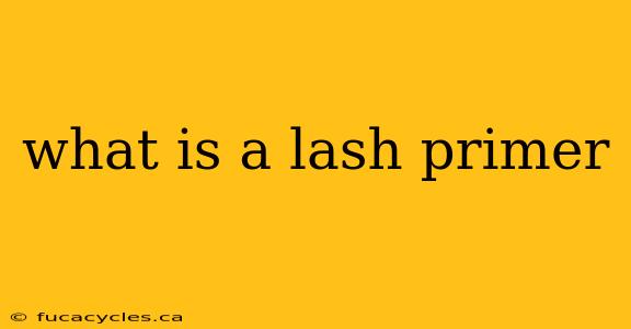 what is a lash primer