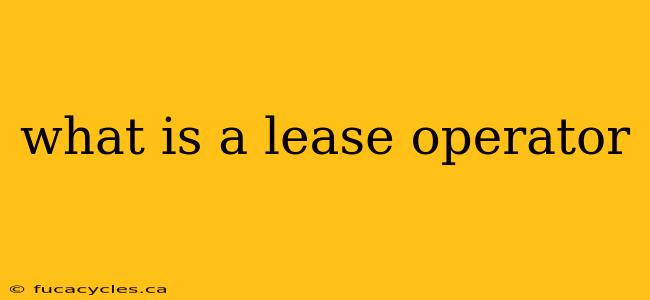 what is a lease operator