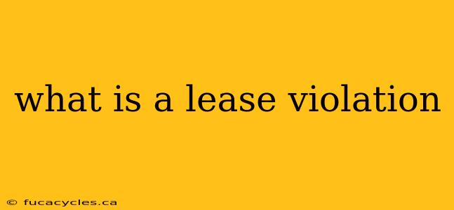 what is a lease violation