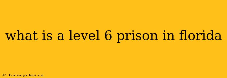 what is a level 6 prison in florida