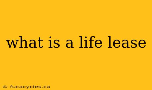 what is a life lease