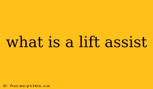 what is a lift assist