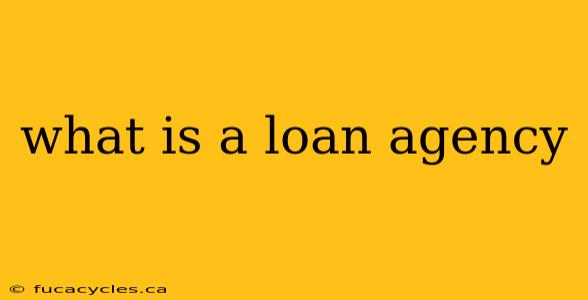 what is a loan agency