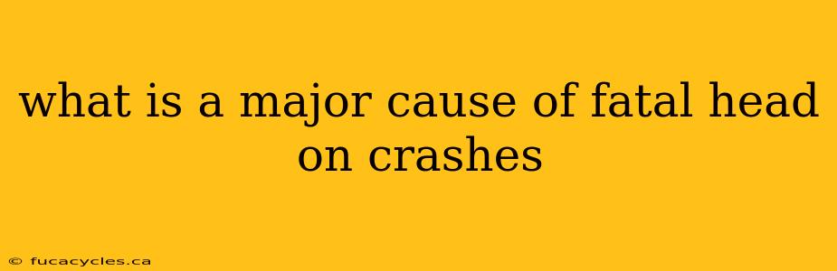 what is a major cause of fatal head on crashes