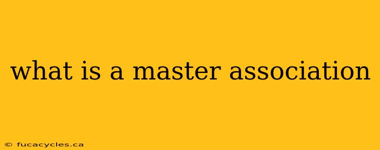 what is a master association