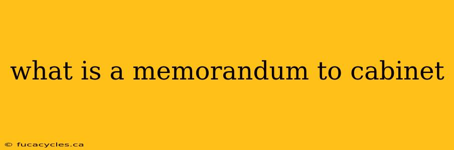 what is a memorandum to cabinet