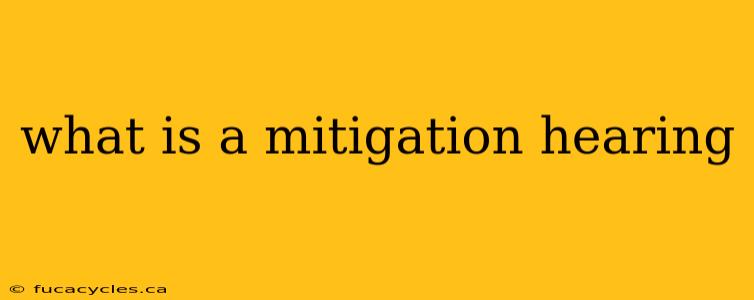 what is a mitigation hearing