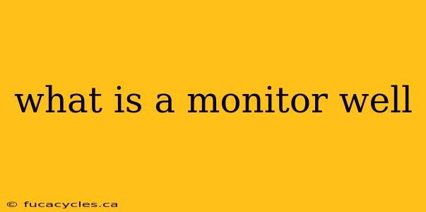 what is a monitor well