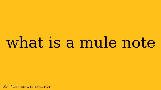 what is a mule note