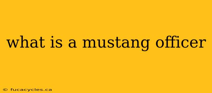 what is a mustang officer