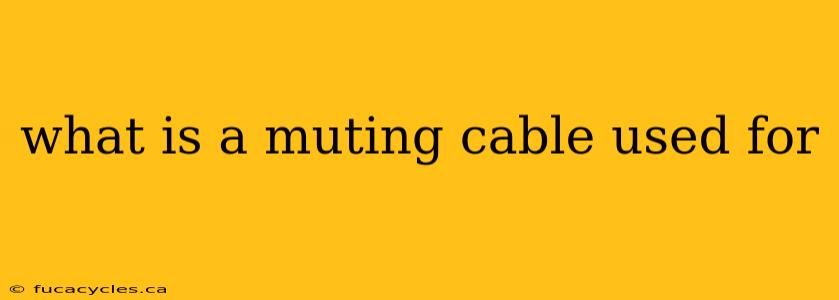 what is a muting cable used for