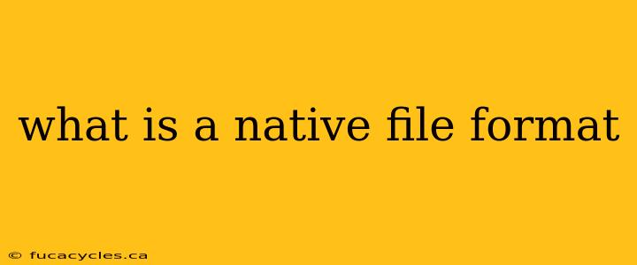 what is a native file format