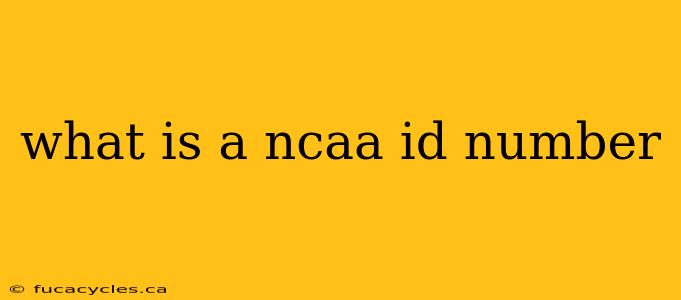 what is a ncaa id number