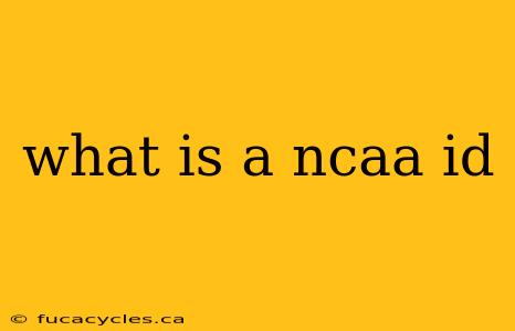 what is a ncaa id