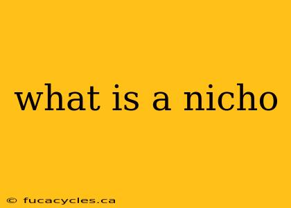 what is a nicho