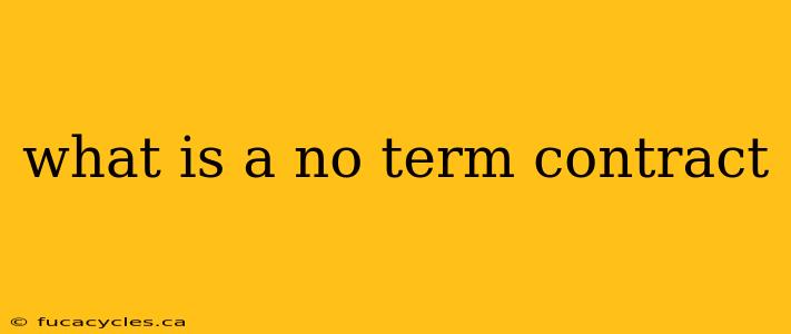 what is a no term contract