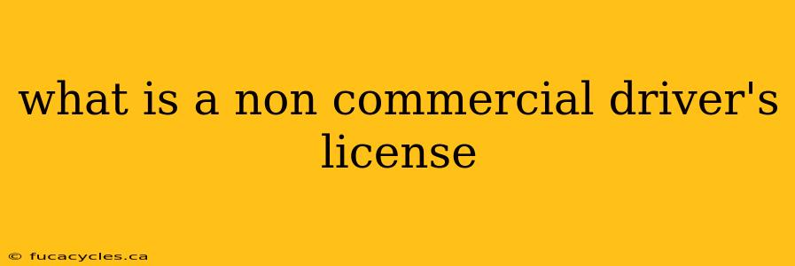 what is a non commercial driver's license