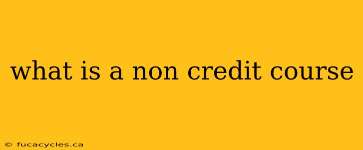 what is a non credit course