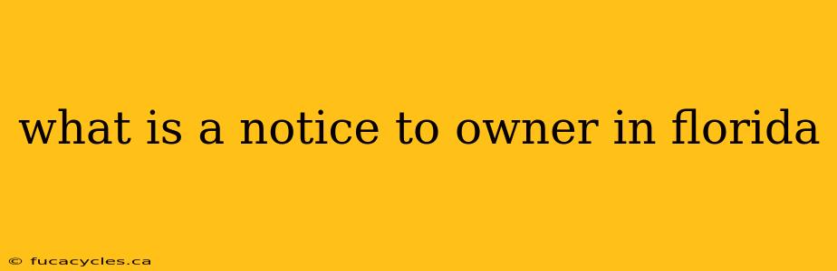 what is a notice to owner in florida