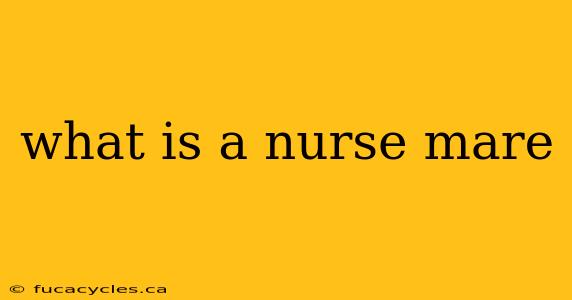 what is a nurse mare