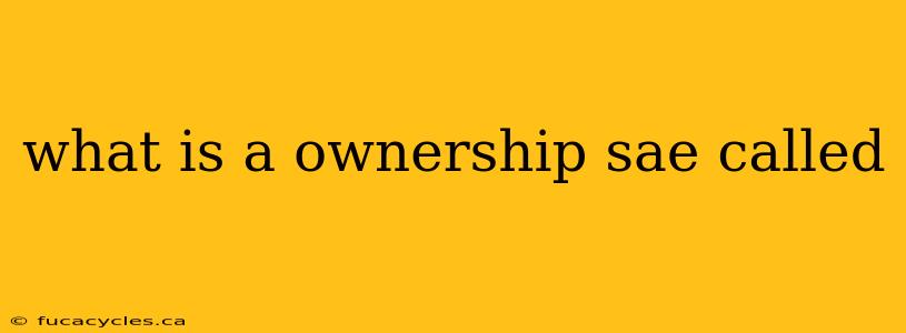 what is a ownership sae called