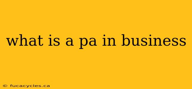 what is a pa in business