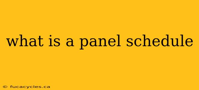 what is a panel schedule