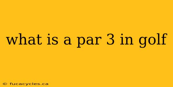 what is a par 3 in golf