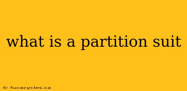 what is a partition suit