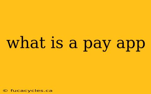 what is a pay app