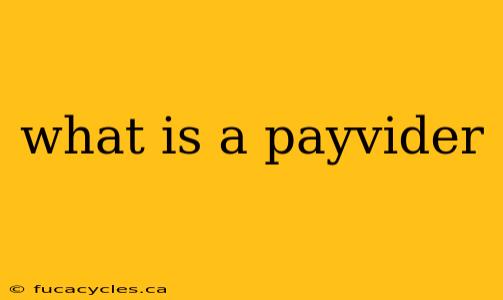 what is a payvider