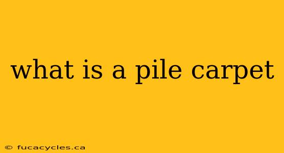 what is a pile carpet