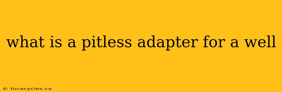 what is a pitless adapter for a well