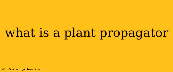 what is a plant propagator