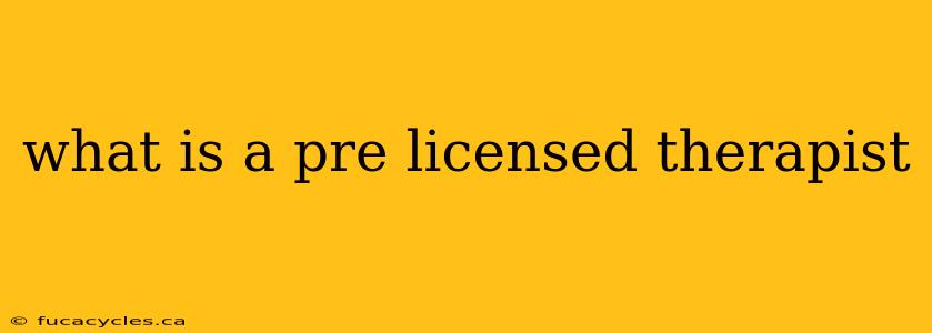 what is a pre licensed therapist