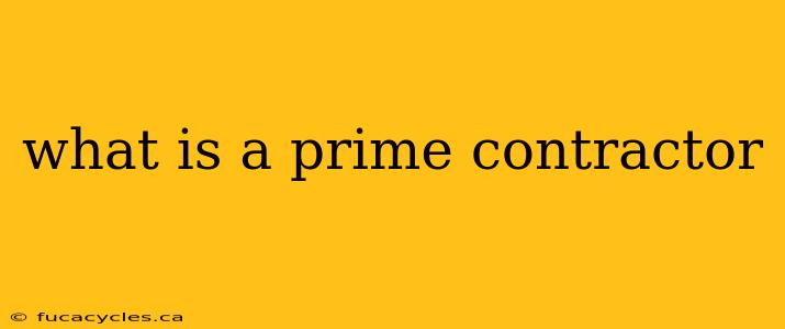 what is a prime contractor