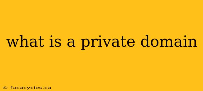 what is a private domain