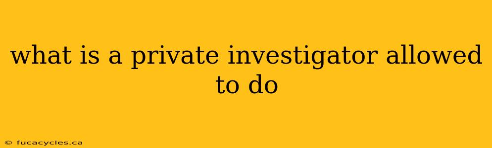 what is a private investigator allowed to do