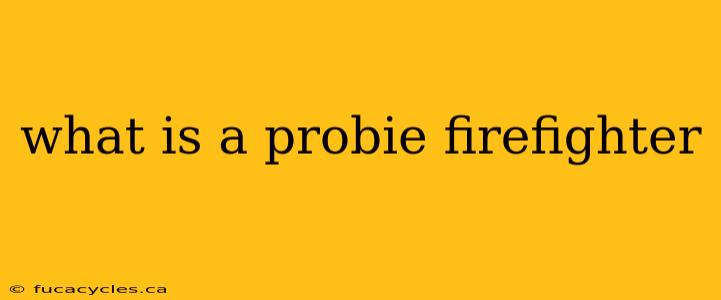 what is a probie firefighter