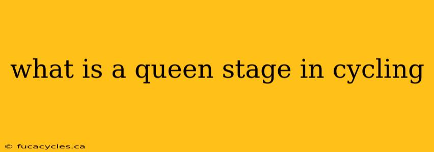 what is a queen stage in cycling