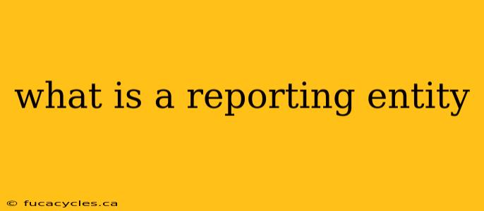 what is a reporting entity