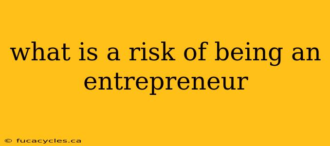 what is a risk of being an entrepreneur